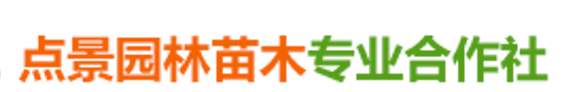 临澧县点景园林苗木专业合作社_临澧点景园林苗木|点景园林苗木|点景树