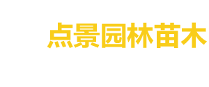 临澧县点景园林苗木专业合作社_临澧点景园林苗木|点景园林苗木|点景树