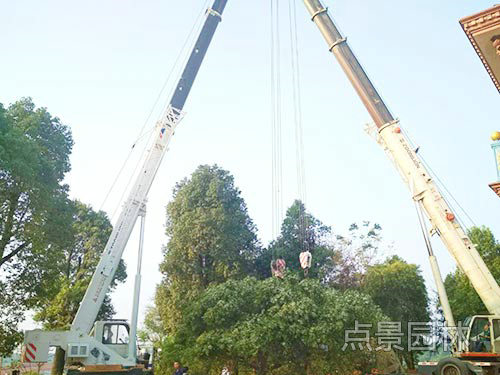 精彩集锦