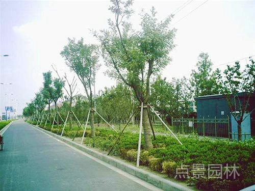 工程案例