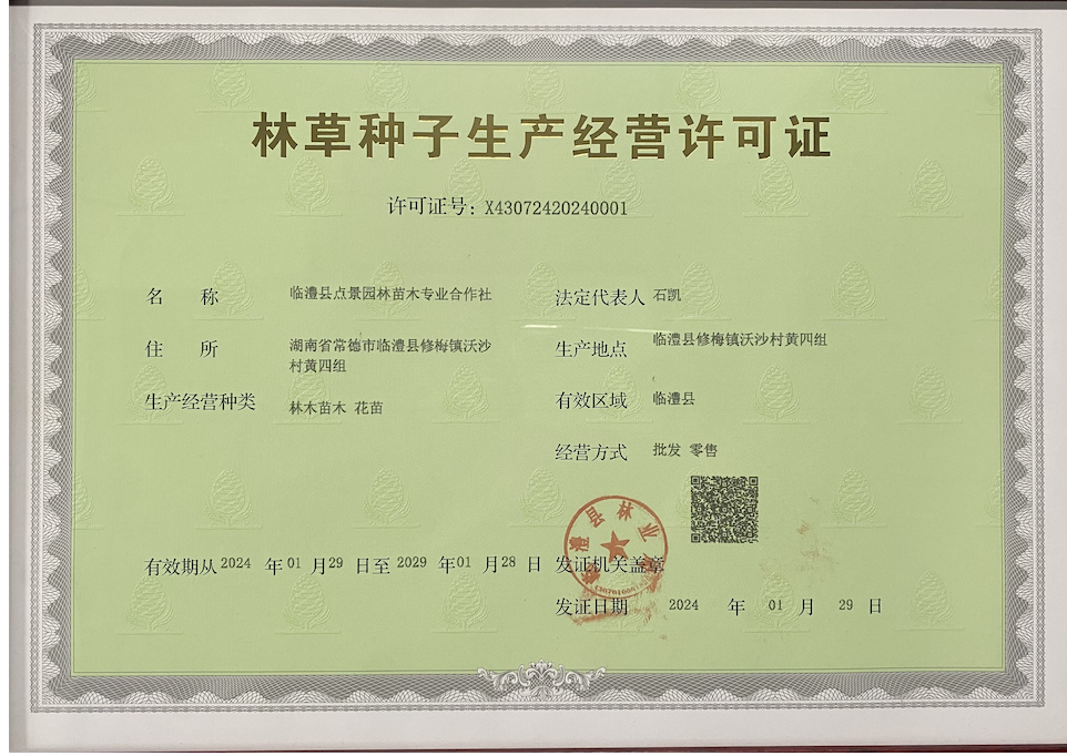 临澧县点景园林苗木专业合作社,临澧点景园林苗木,点景园林苗木,朴树,栾树,香樟,工程苗木哪家好